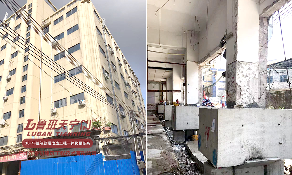 魯班公司房屋糾偏2024工程專輯