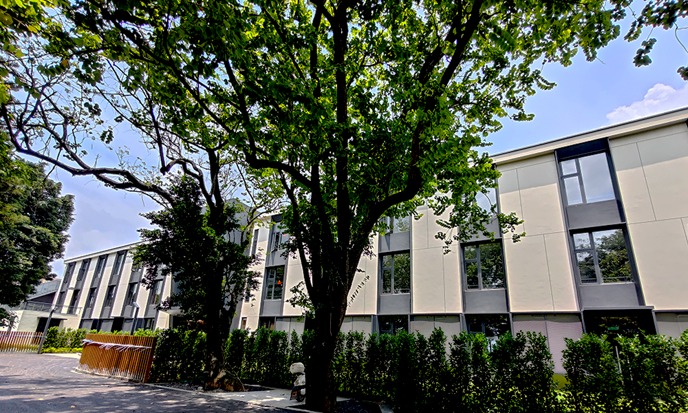 施工總承包
